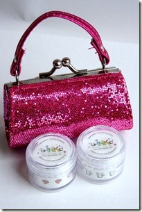 binkdpinkpurse2designshot GIVEAWAY: Bink&rsquo;d Temporary Earrings (gift guide winner)