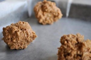 Protein Peanut Butter Balls 300x199 Simple Food for the Good Life {Book Review}