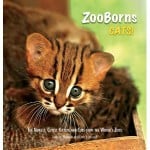 Zooborn Cats book 150x150 Review:  Zooborn Cats
