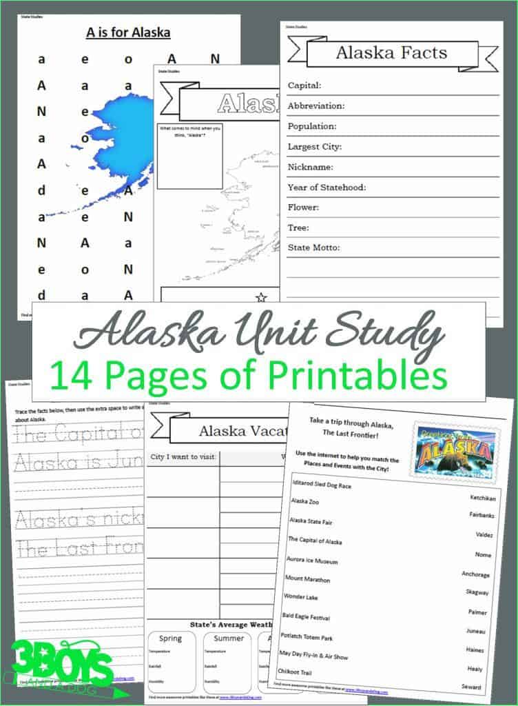 Alaska State Unit Study - 14 page downloadable workbook to help you teach your children all about the State of Alaska.