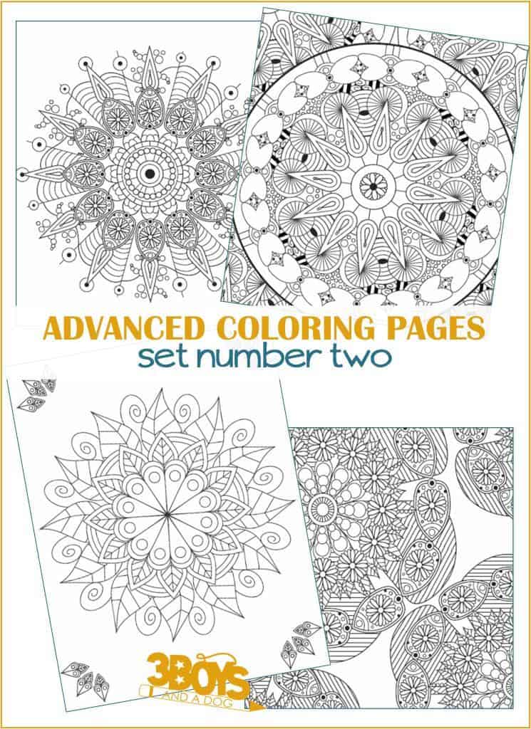 Advanced Coloring Pages set 2 - Mandalas for Adults