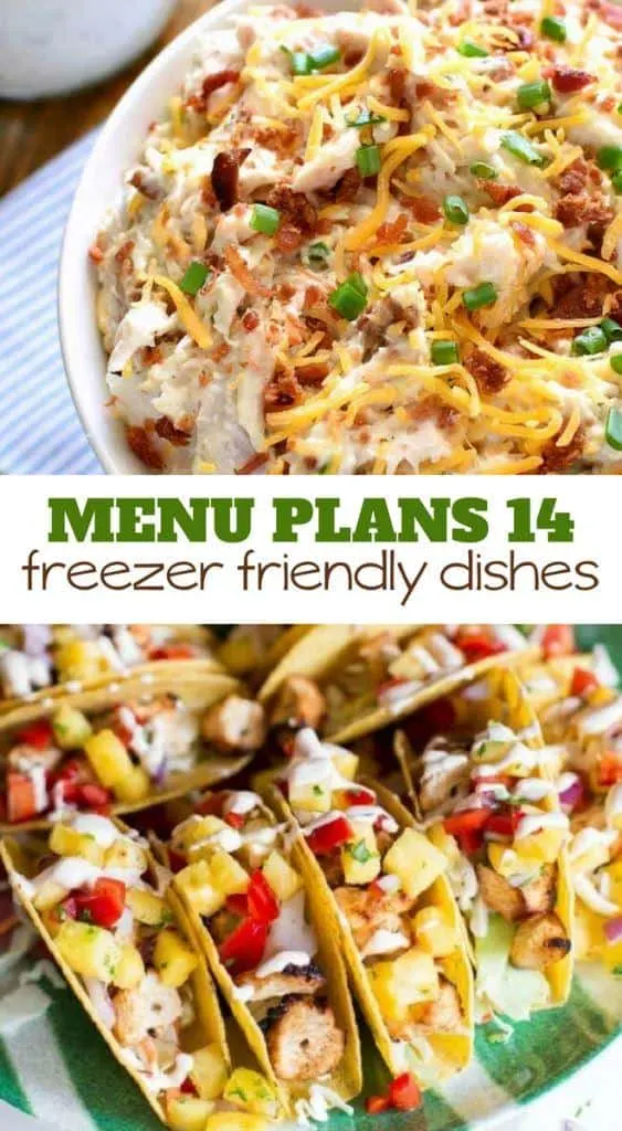 menu plans 14 freezer friendly dishes