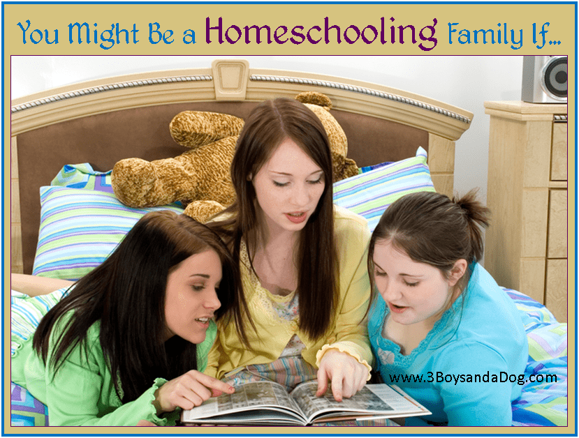 you might be a homeschooling family if