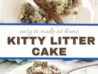 Image for Kitty Litter Cake Recipe