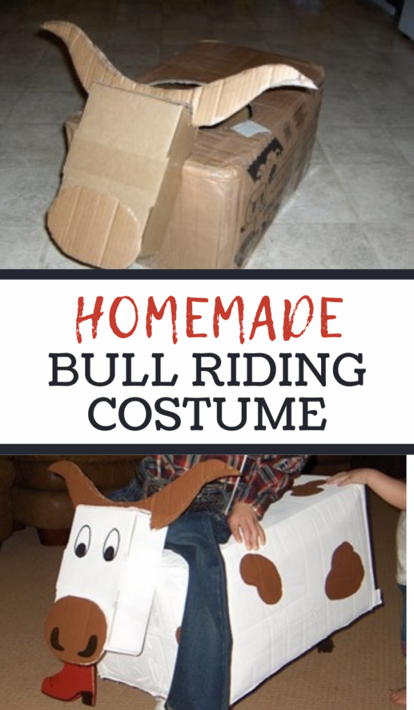 Super Cute DIY Bull Rider Costume for Halloween - 3 Boys and a Dog