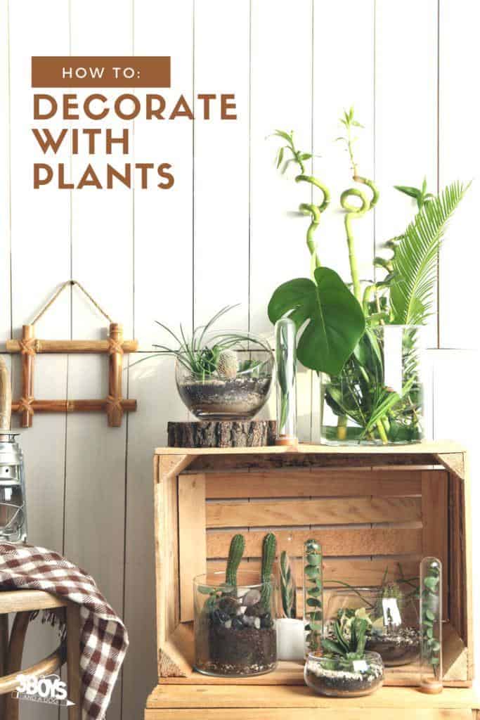 I have a few how to decorate with plants tips to help you decorate with houseplants and decorative planters! 