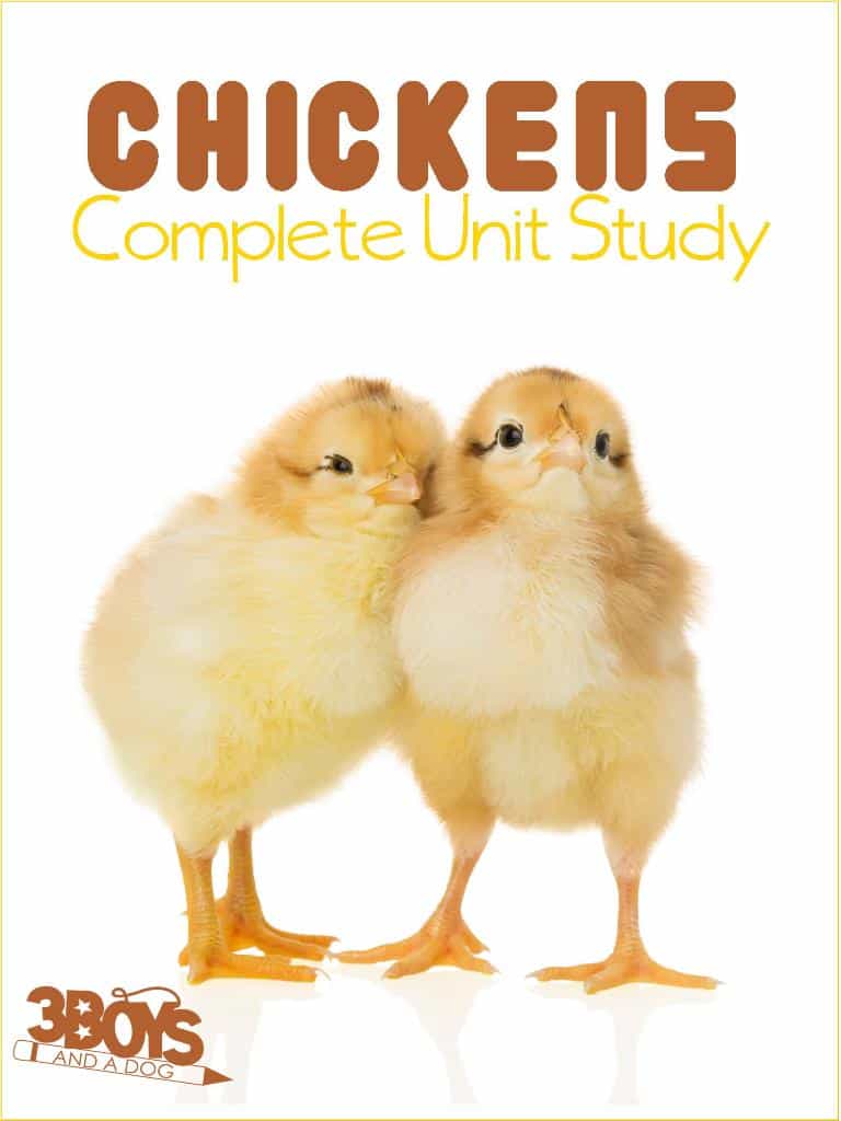Chickens Complete Unit Study for Homeschooling and Afterschooling