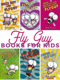 grab some of these books about Fly Guy for your child