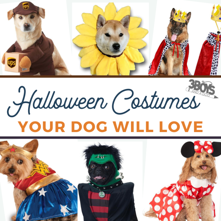 25 Dog Halloween Costumes: Cute, Funny and Spooky Ideas