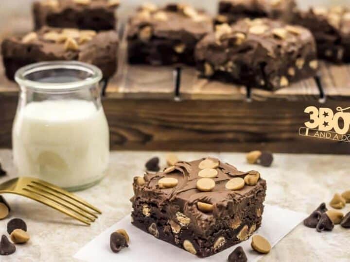 Peanut Butter Chocolate Chunk Brownies