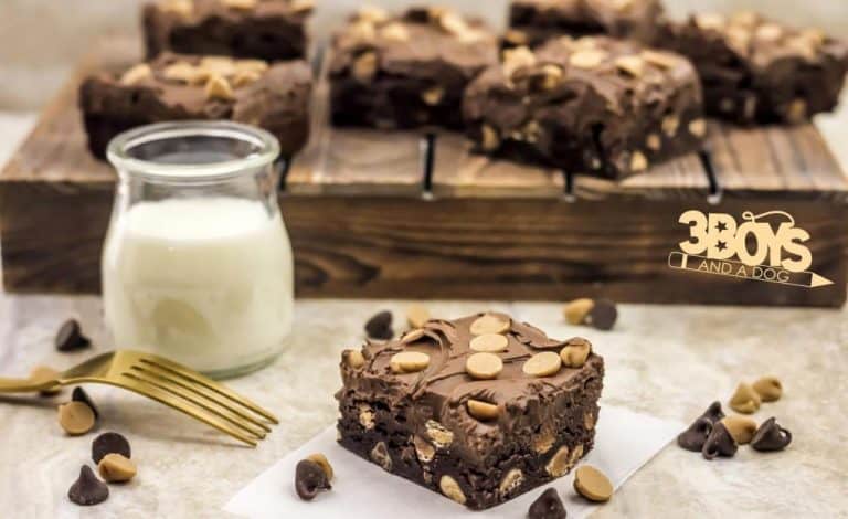 Peanut Butter Chocolate Chunk Brownies