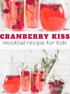 cranberry juice mocktail recipe