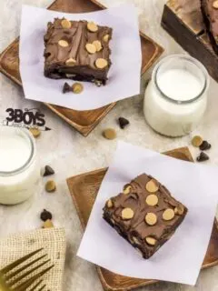 Delicious Chocolate and Peanut Butter Brownie Recipe