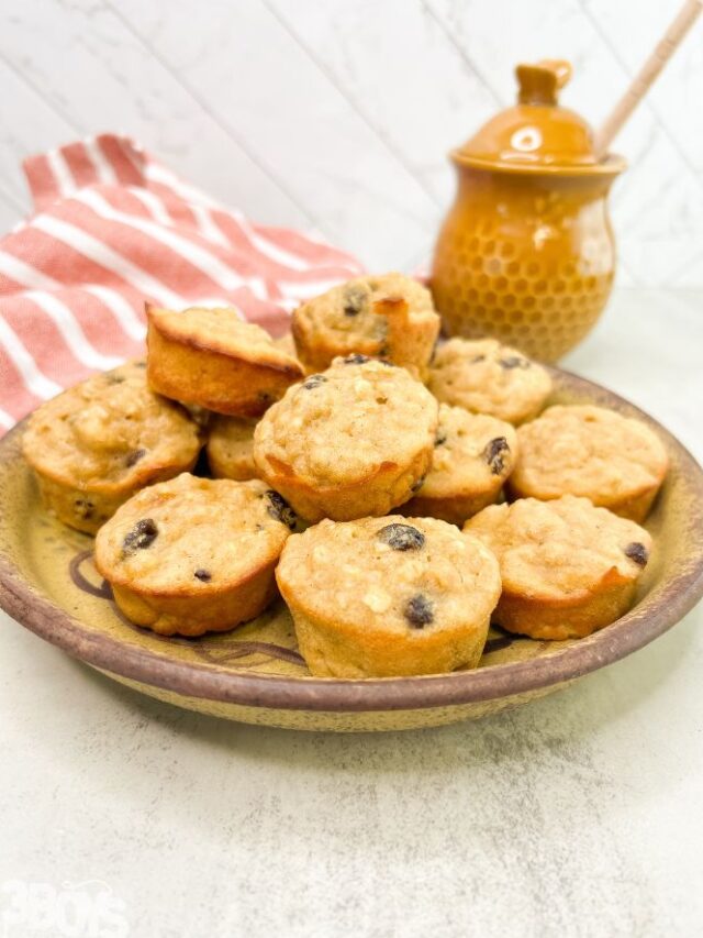 cropped-Oatmeal-Raisin-Muffins-recipe-4.jpg