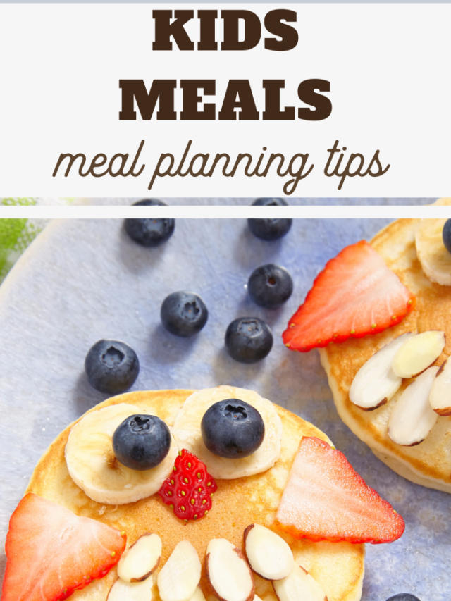 Close-up of a pancake decorated as an owl with blueberries for eyes, strawberry slices for ears and nose, and almond slivers for feathers. The text above reads Kids Meals: Weekly Menu Planning Tips.