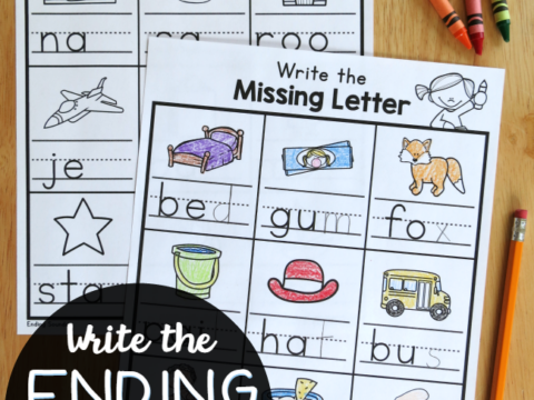 Image for Write the Ending Sounds Worksheets