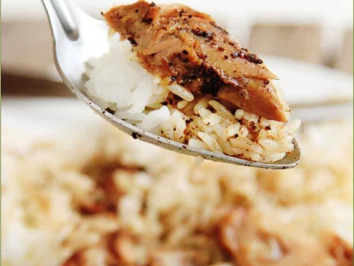 Crockpot Recipe Tangy Pork Stew