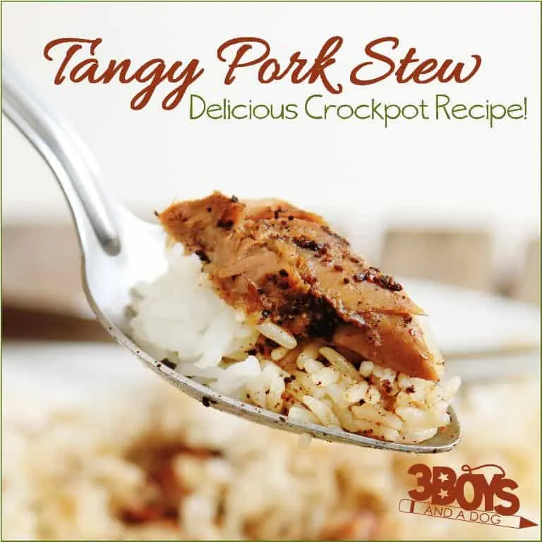 Delicious Tangy Crockpot Pork Stew