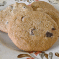 Crunchy Chocolate Chip Cookies Recipe