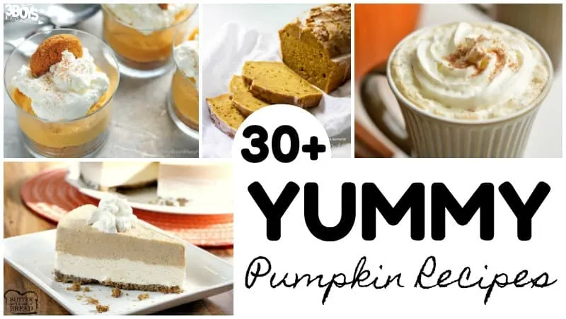 Over 30 Yummy Pumpkin Recipes