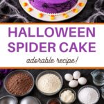 Halloween Spider Cake, adorable recipe: the finished spider cake from above, with the baking ingredients, dome pans and licorice laid out below