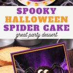 Spooky Halloween Spider Cake, great party dessert: the finished spider cake with purple frosting and licorice legs, shown with the baked cake layers