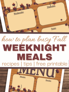 cropped-how-to-plan-for-busy-fall-dinners.png