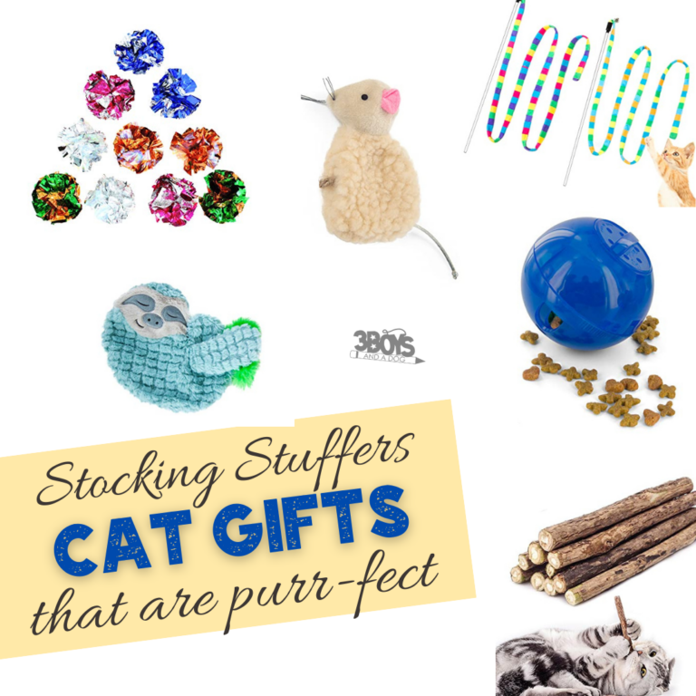15 Stocking Stuffers for Cats