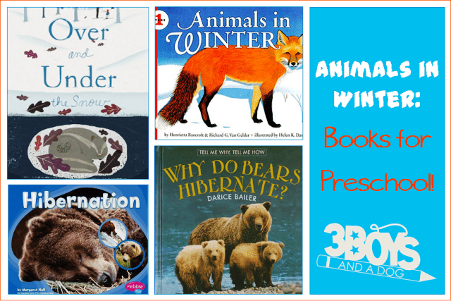 Animals in Winter Books for Preschool