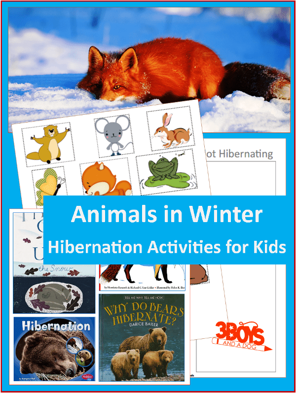 Animals in Winter Hibernation Activities for Kids