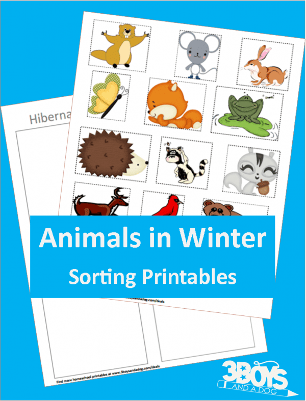 Hibernating or Not Printable for Preschoolers