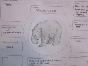Polar Bear Chart