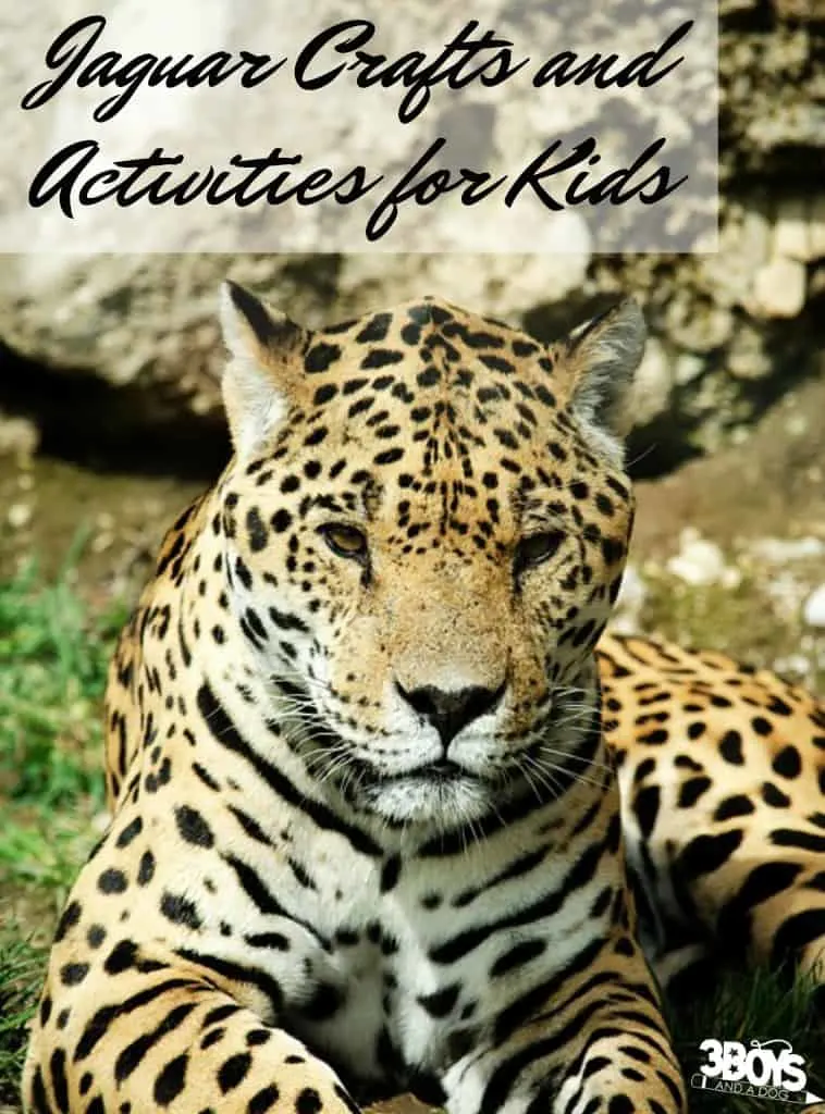 J is for Jaguar: Jaguar Crafts and Activities for Kids
