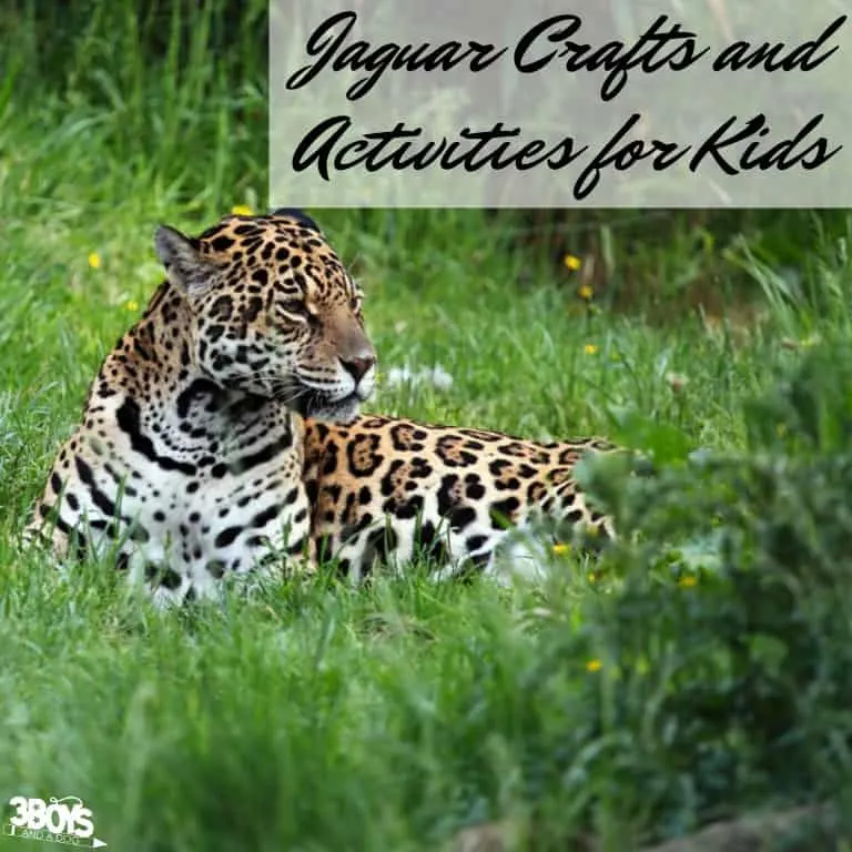 Jaguar Crafts for Kids