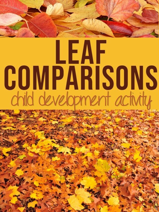 Leaf Comparisons Child Development Activity