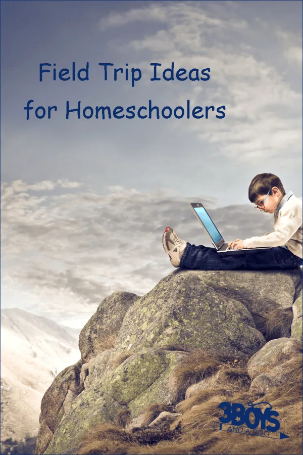 Field Trip Ideas for Homeschooling Parents