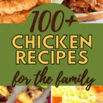 top 100 chicken recipes