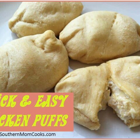 Quick and Easy Chicken Puffs