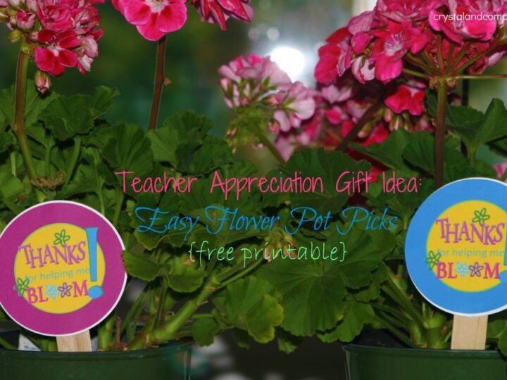 Potted flowers with colorful printable tags that read “Thanks for helping me bloom,” displayed as a teacher appreciation gift idea.