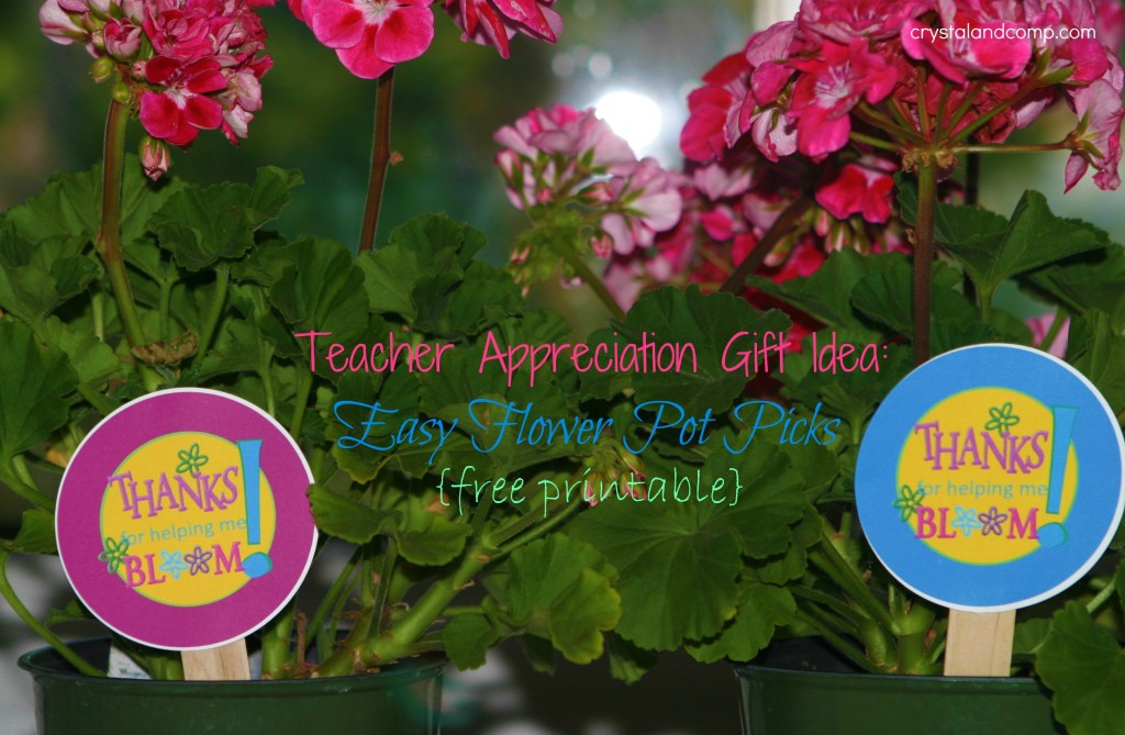 Potted flowers with colorful printable tags that read “Thanks for helping me bloom,” displayed as a teacher appreciation gift idea.
