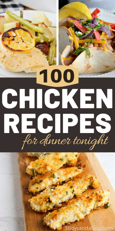 Over 100 Chicken Recipes to Serve Your Family!