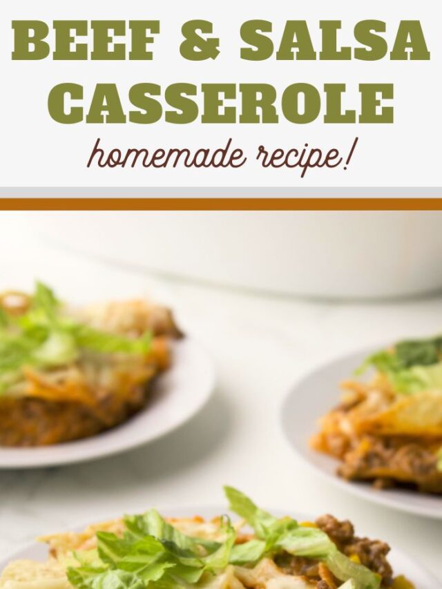 cropped-Beef-and-Salsa-Casserole-recipe-4.jpg