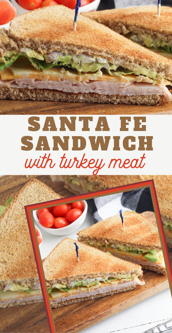 toasted turkey sandwich