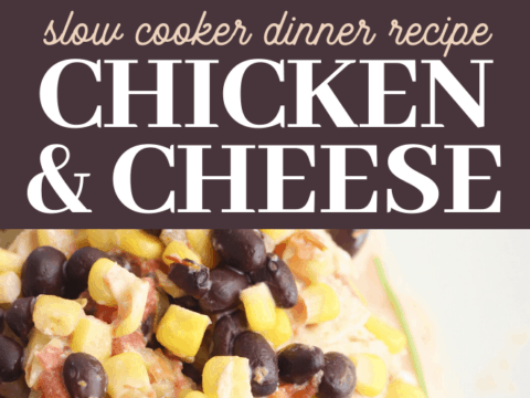 southwest chicken corn beans dinner with melted cheese