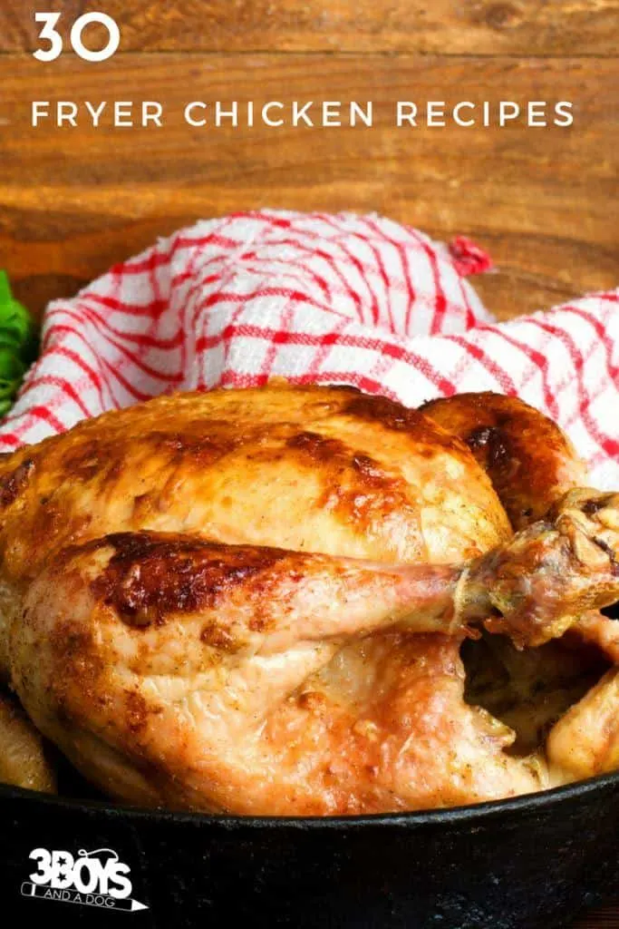 30 quick and easy fryer chicken recipes that are budget friendly