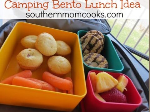 Image for Camping Bento Lunch Idea