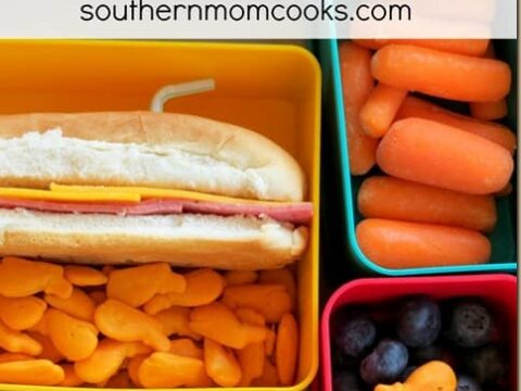 Image for Submarine Bento Lunch Idea