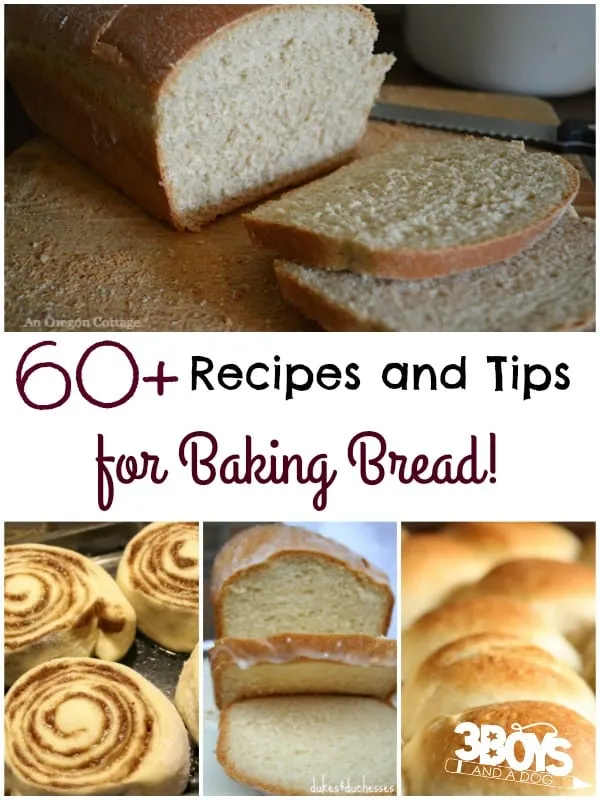 60+ Money Saving Bread Recipes and Bread Machine Tips