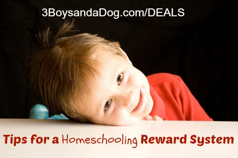 homeschool reward system