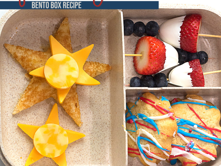 Image for 4th of July Bento Lunch Idea